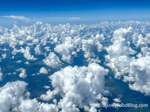 Why are international airline catering standards changing so quickly?