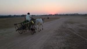 Why is India's Defence Ministry surveying land for the Adilabad Airport?