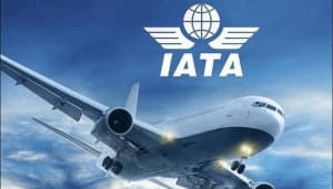 IATA: Why Sustainable Aviation Fuel Production is Falling Short of Global Targets