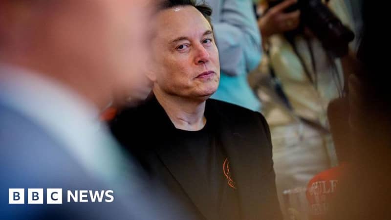 Does Elon Musk's Ryanair takeover talk ignore EU ownership rules?