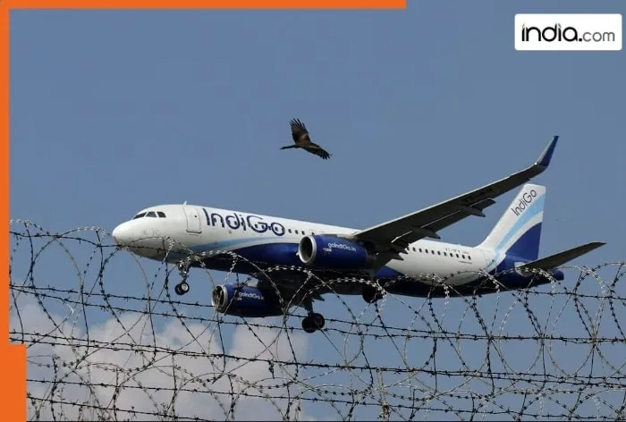New Airlines Alhind Air, FlyExpress Challenge IndiGo's Market Dominance