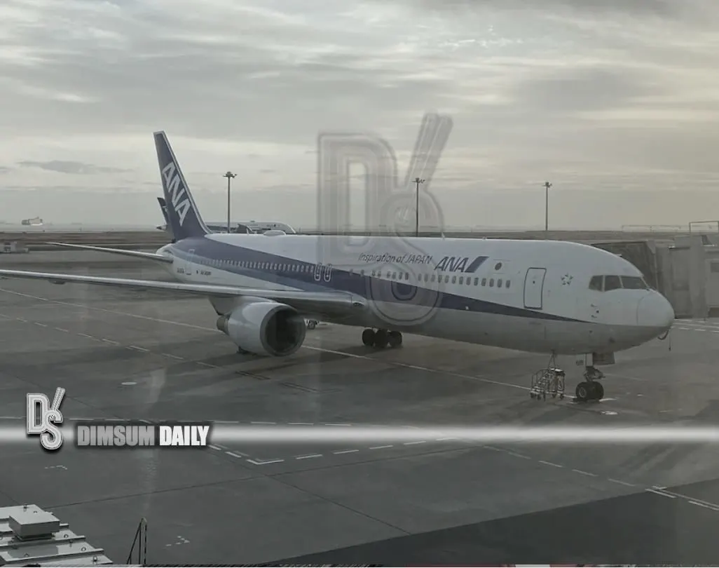 ANA Flight NH968 Aborts Landing in Haneda Near Miss