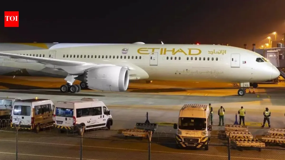 Etihad EY343 Returns to Gate in Chennai After Tech Issue