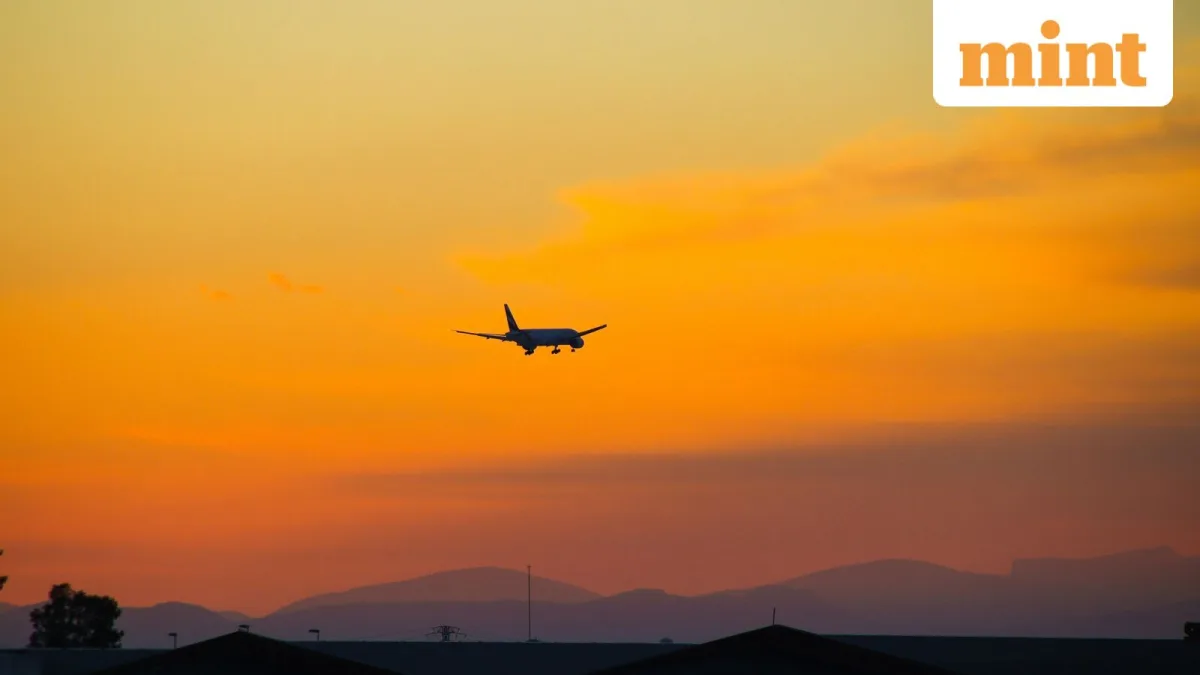 IATA: SAF Production Stagnates at 0.8% of Global Fuel Use
