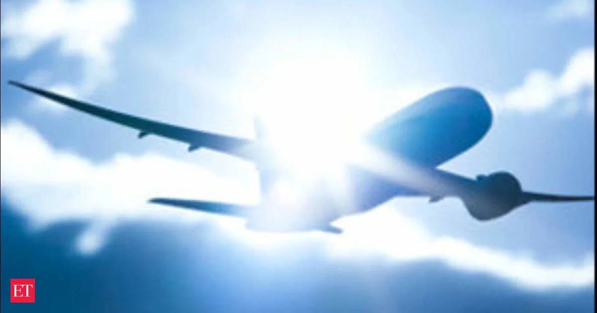 US Airlines Raise Checked Bag Fees to $45 Amid Rising Costs