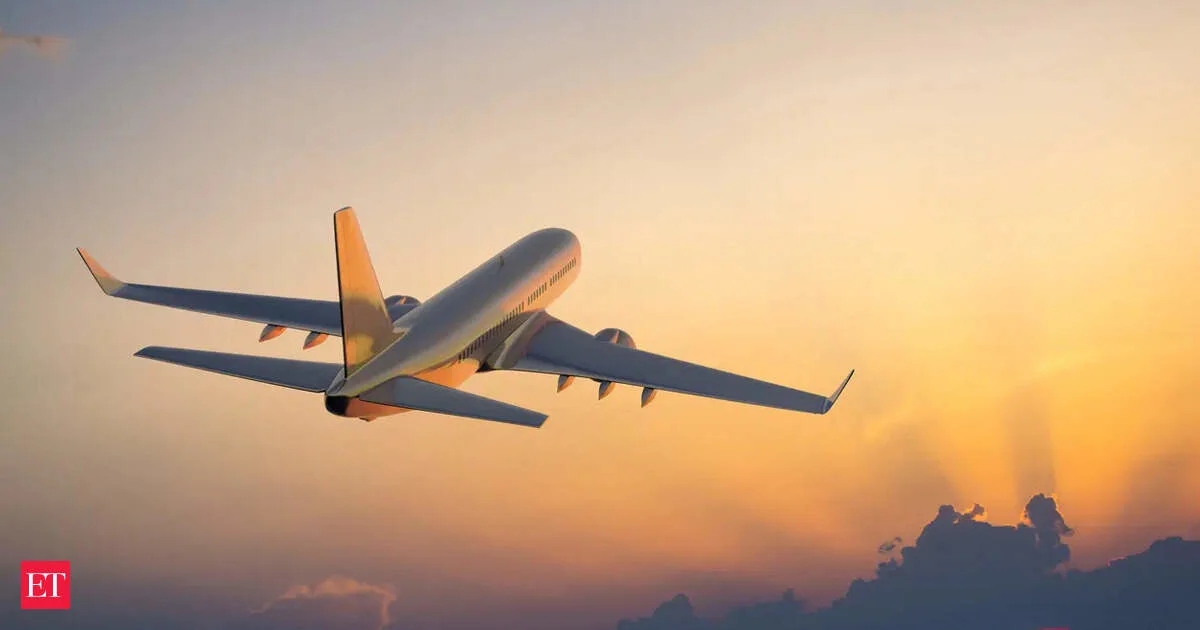 Shenzhen Airlines 737 Grounded by Passenger Wing Report