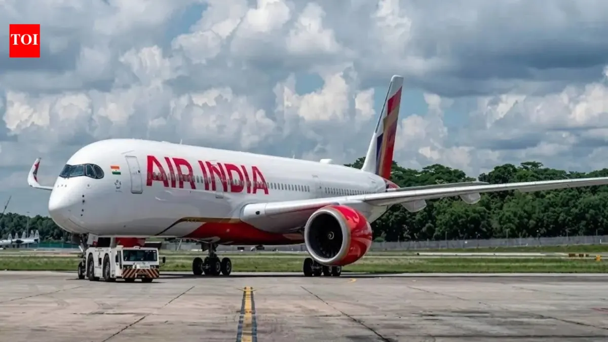 Air India AI 479 Enters Pakistan Airspace During Go-Around