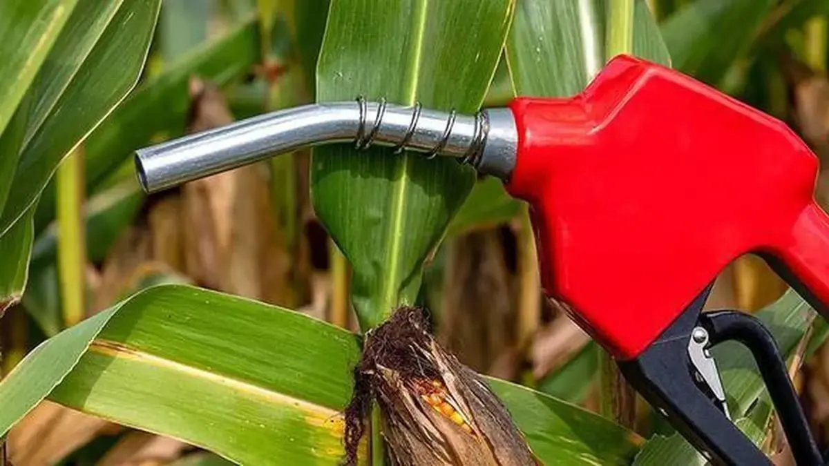 GPS Renewables Starts Building India's First Ethanol-to-Jet SAF Plant