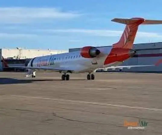 Nigerian State-Owned Airlines Face Growth and Risk