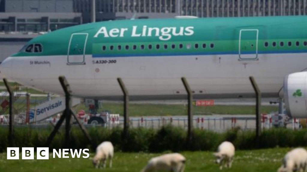 Aer Lingus A330 Makes Precautionary Emergency Landing at Manchester Airport