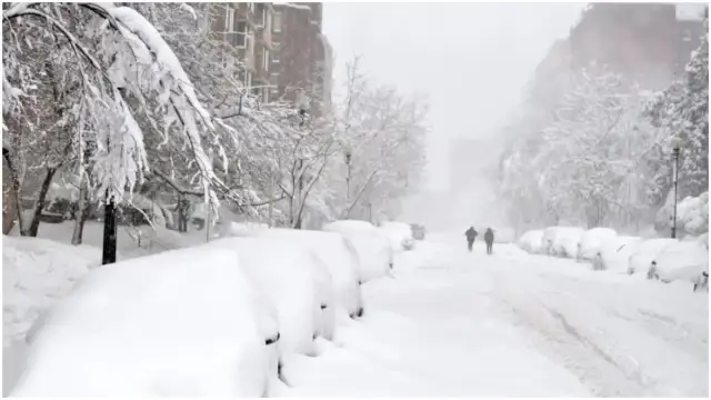 Historic Winter Storm Fern Triggers 15,000 US Flight Cancellations; Which Airlines Bear the Brunt?