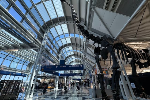 FAA Orders Flight Reductions at Chicago O'Hare for Summer 2026