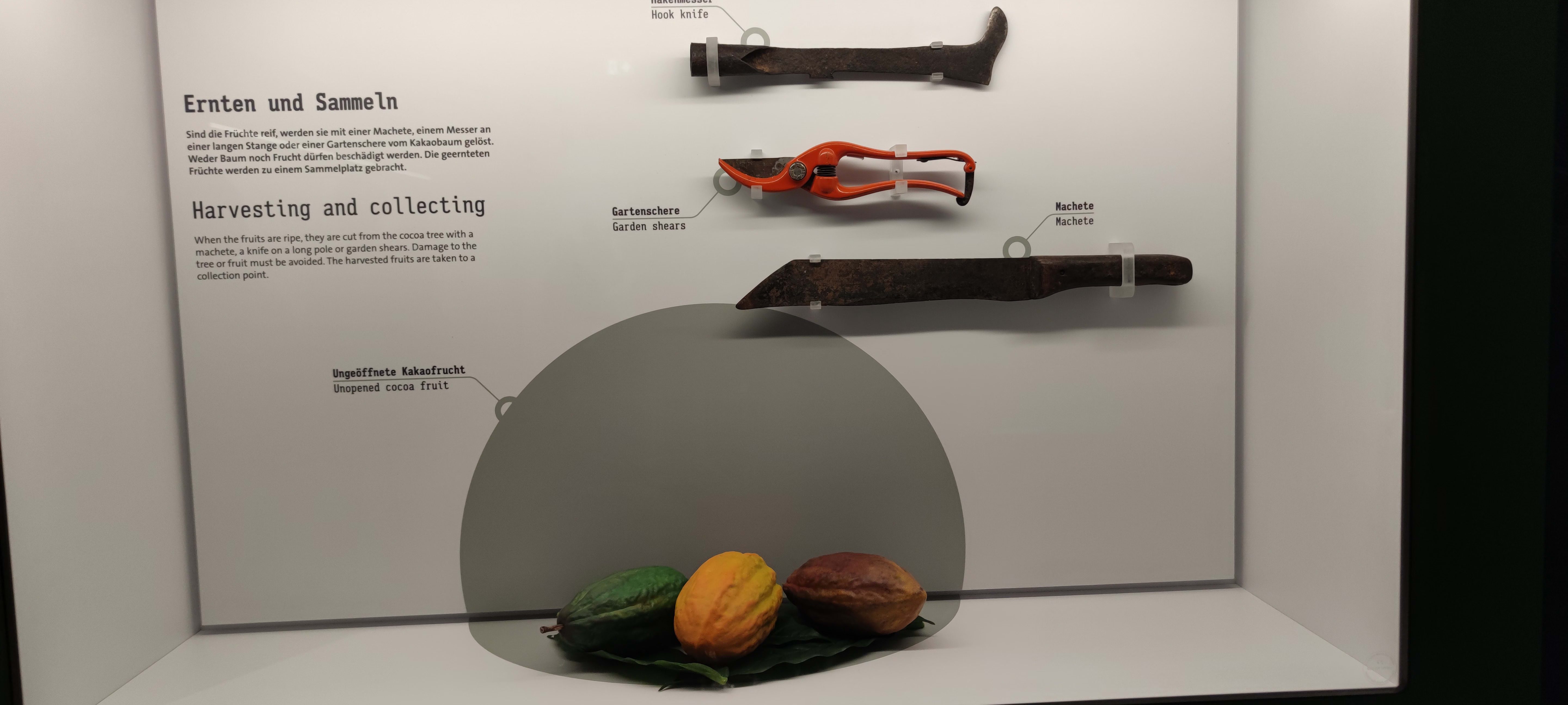 Çikolata üretim hattı