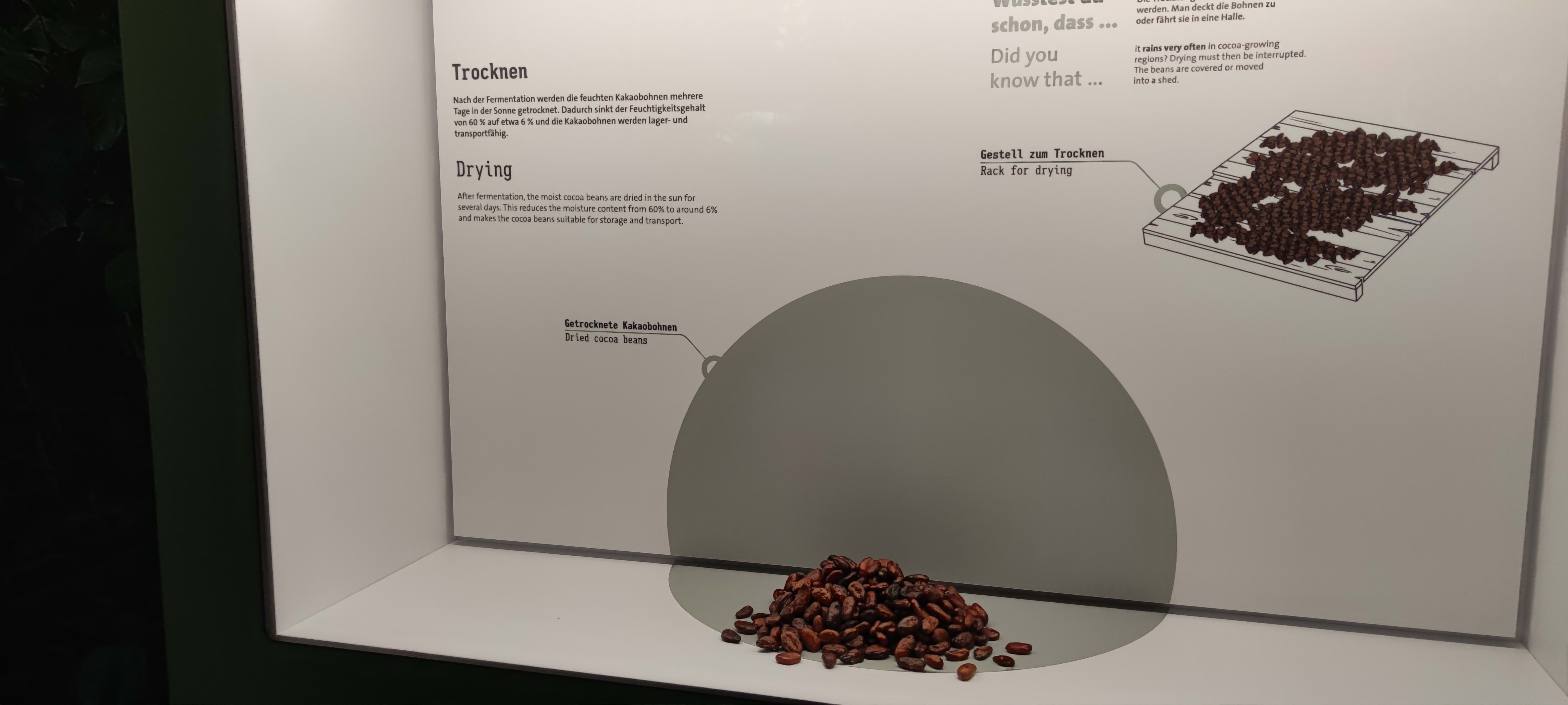 Çikolata tarihi sergisi