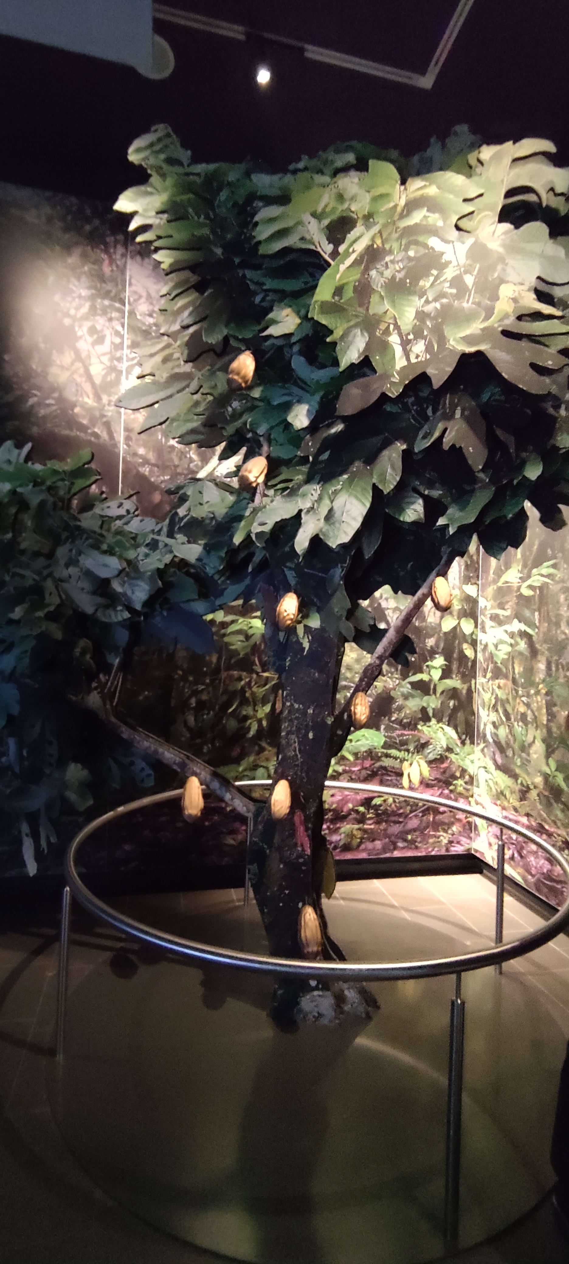 Çikolata Müzesi sergi alanı