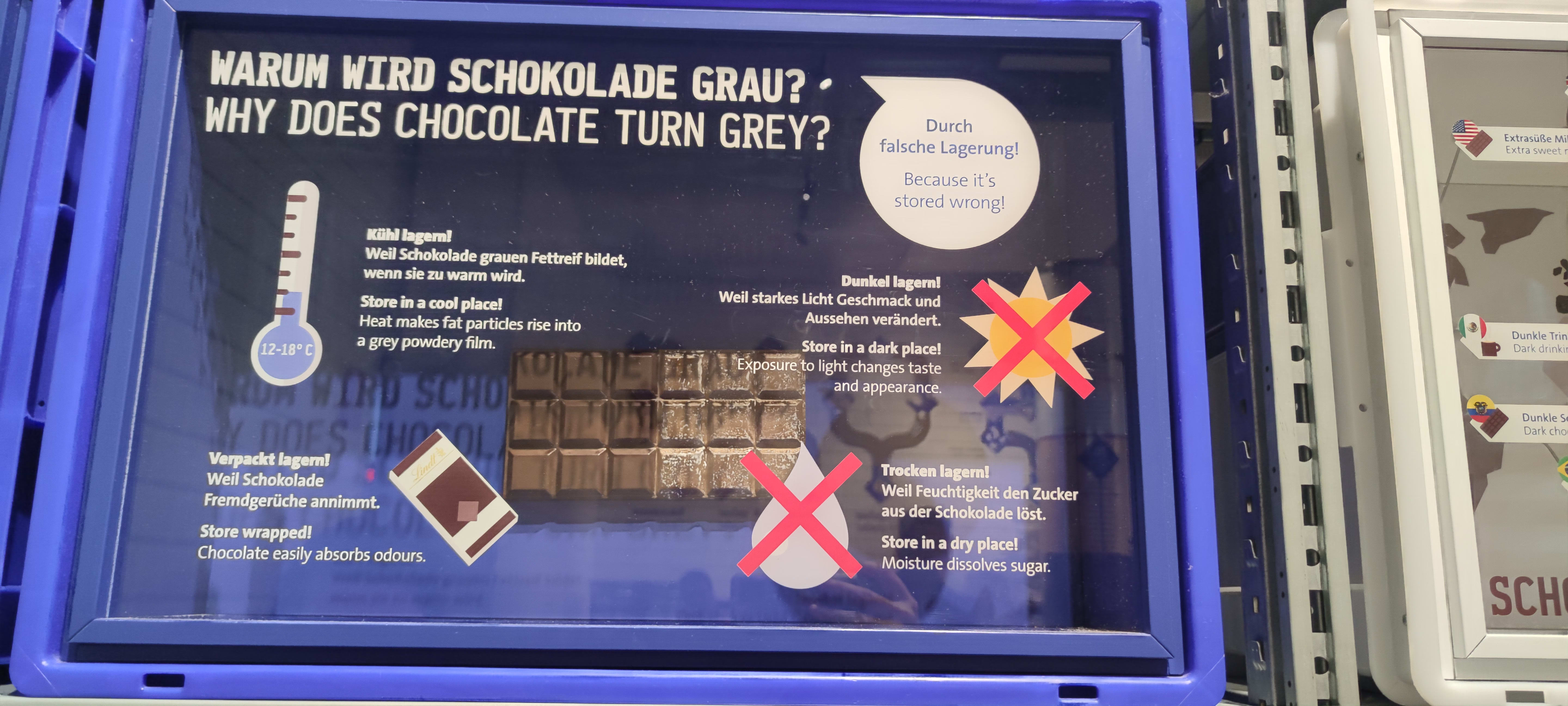 Kakao çekirdekleri sergisi