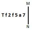 Figure accompanying the question