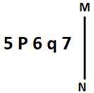 Figure accompanying the question