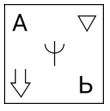 Option b