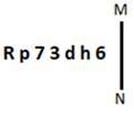 Figure accompanying the question