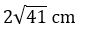 Option c