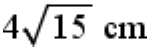Option d