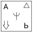 Option c