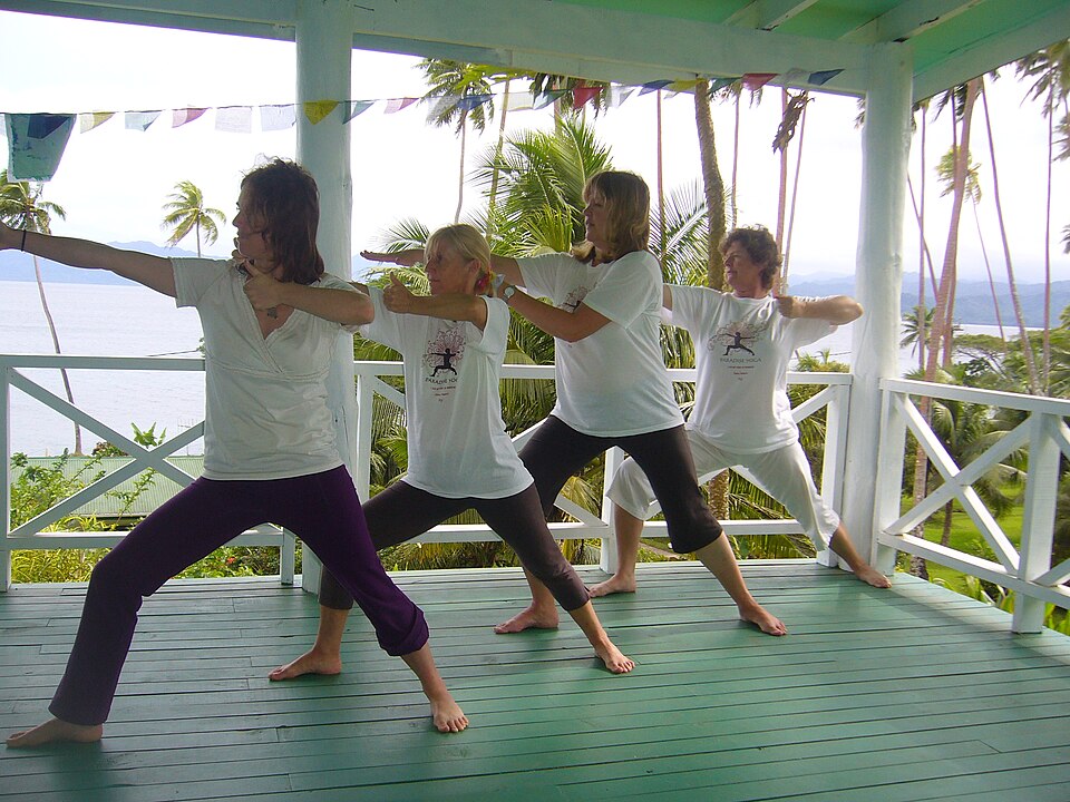 Group practicing a yoga asana pose — Yoga is one of the five traditional systems (AYUSH) of medicine recognised in India