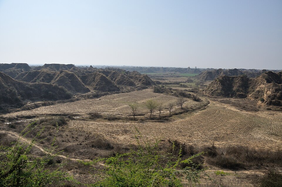 Deeply eroded gullies and flat-topped earth ridges of the Chambal ravines flanking a cultivated strip on the valley floor