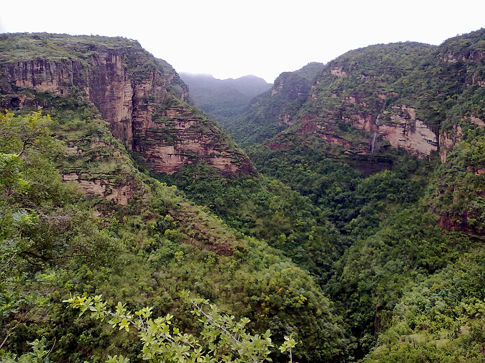 A densely forested valley at Pachmarhi enclosed by tiered sandstone cliffs of the Satpura range