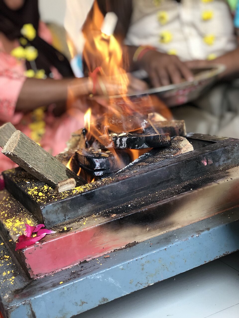 A havan fire burning in a square metal fire-pit, with wood offerings, turmeric and flower petals at its rim and the hands of participants behind