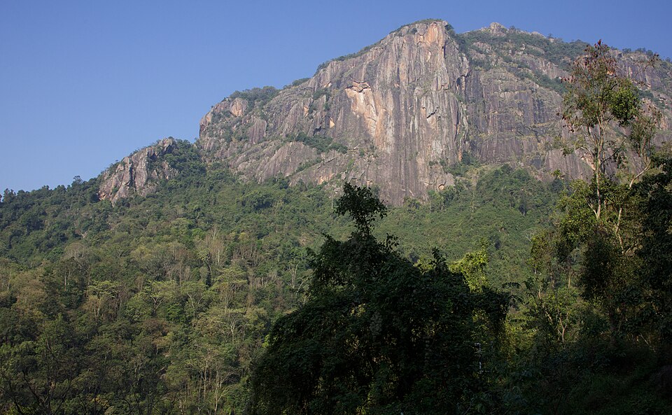A forested slope of the Nilgiri Hills rising to a bare rocky peak under a clear sky