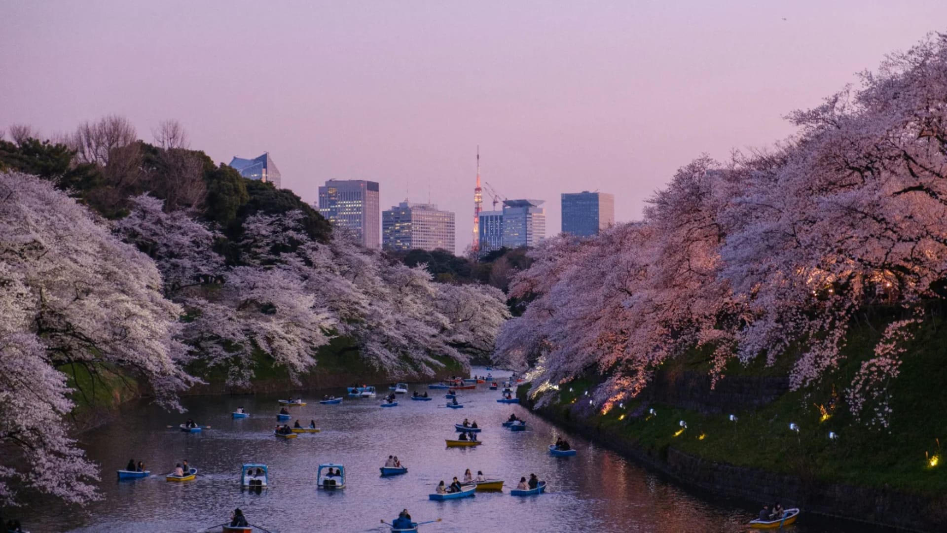 Tokyo Highlights: 5-Day City Tour