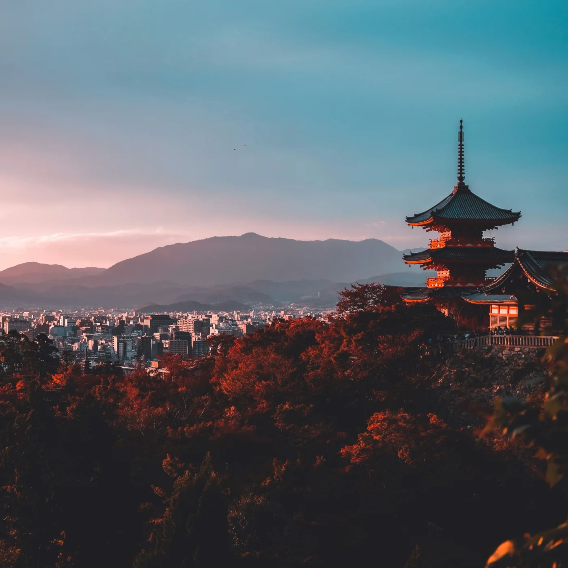 Tokyo Highlights: 5-Day City Tour photo 1