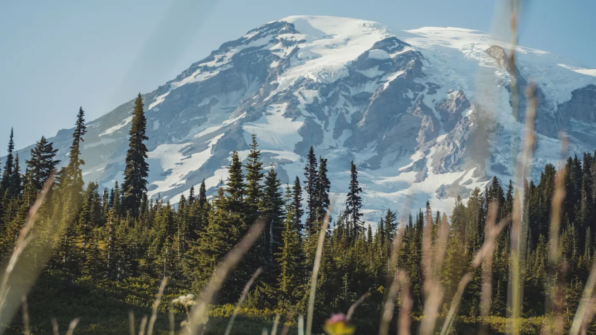 Mt Rainier Hiking Expedition