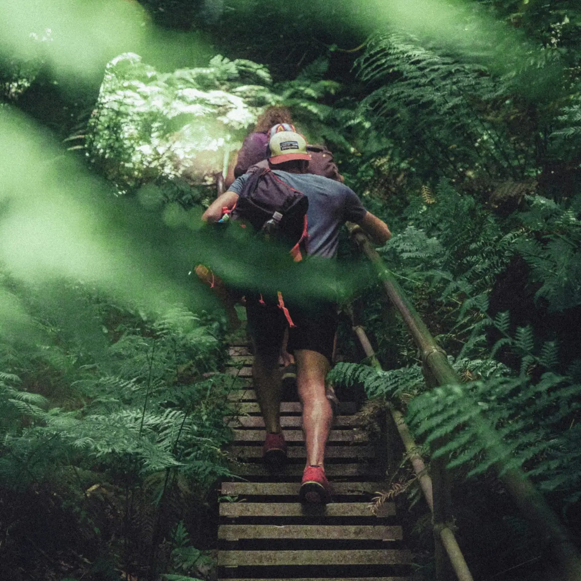 Mt Rainier Hiking Expedition photo 2