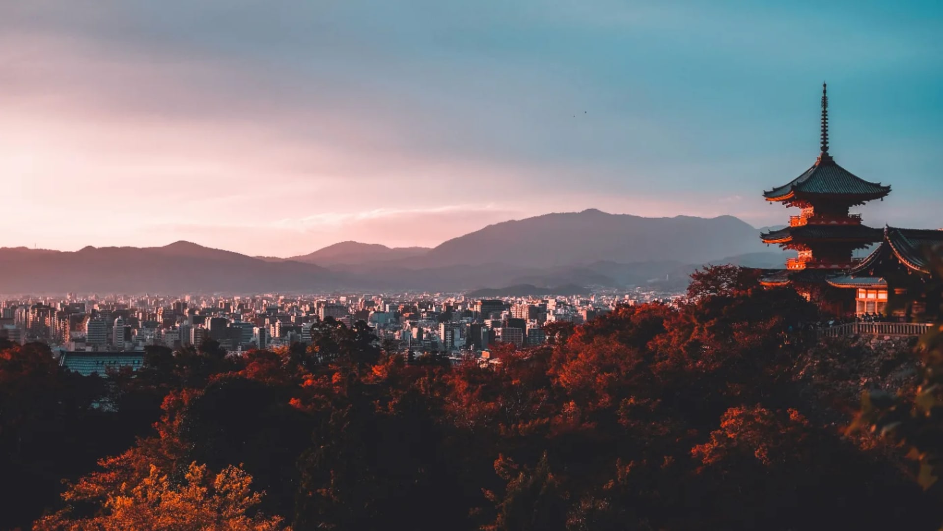 Tokyo Highlights: 5-Day City Tour