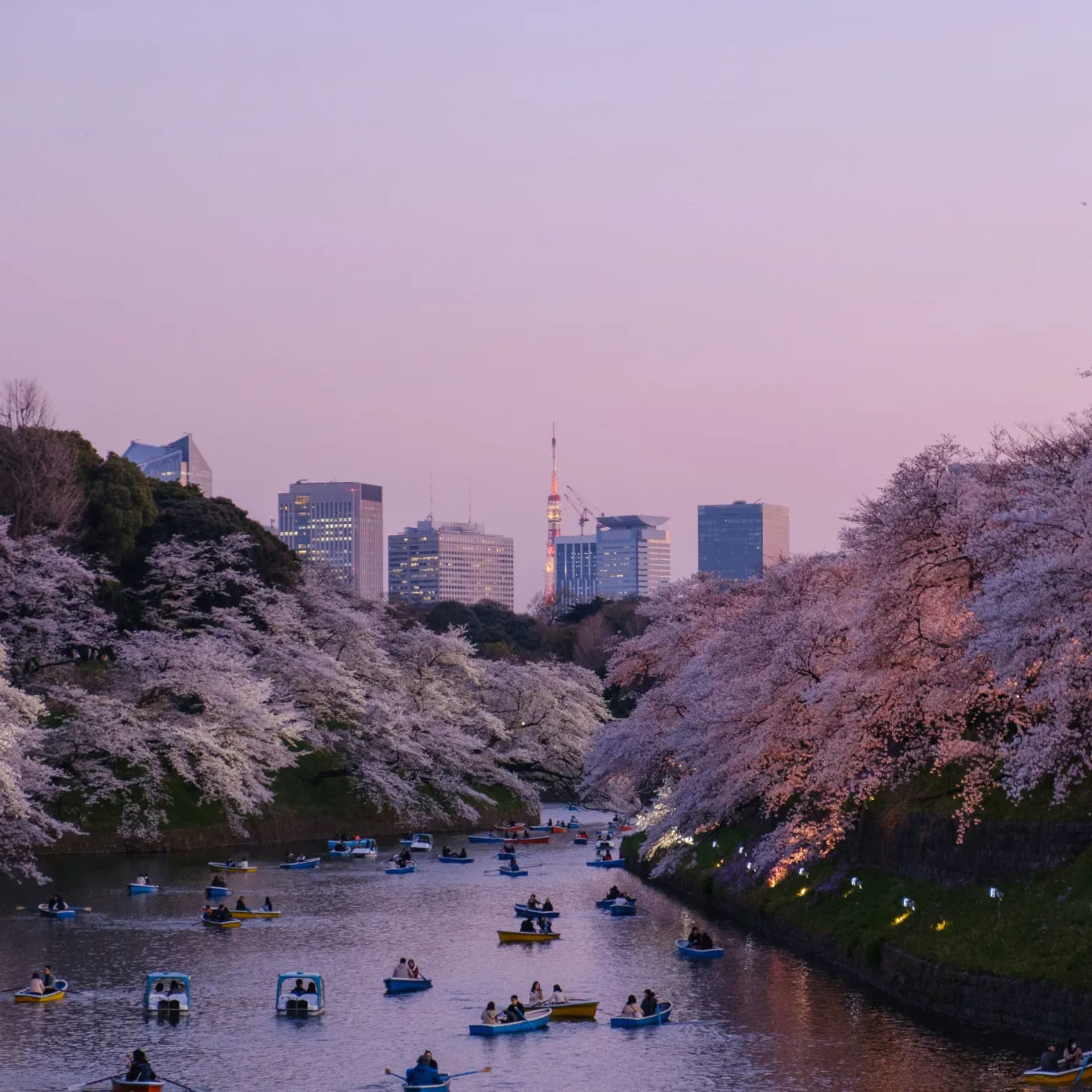 Tokyo Highlights: 5-Day City Tour photo 2