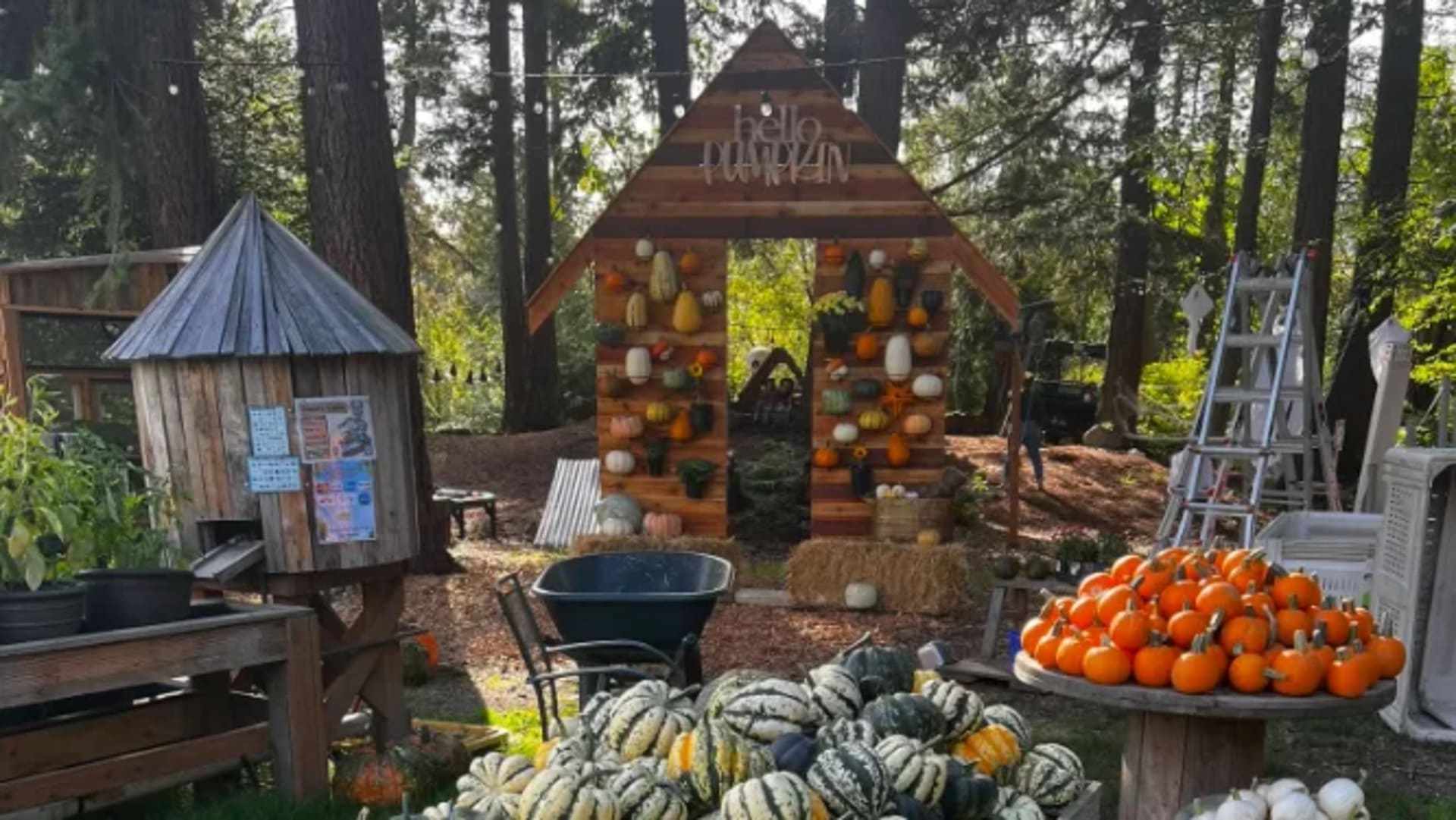 Fall on the Farm - 10/3 thru 10/31 Saturdays