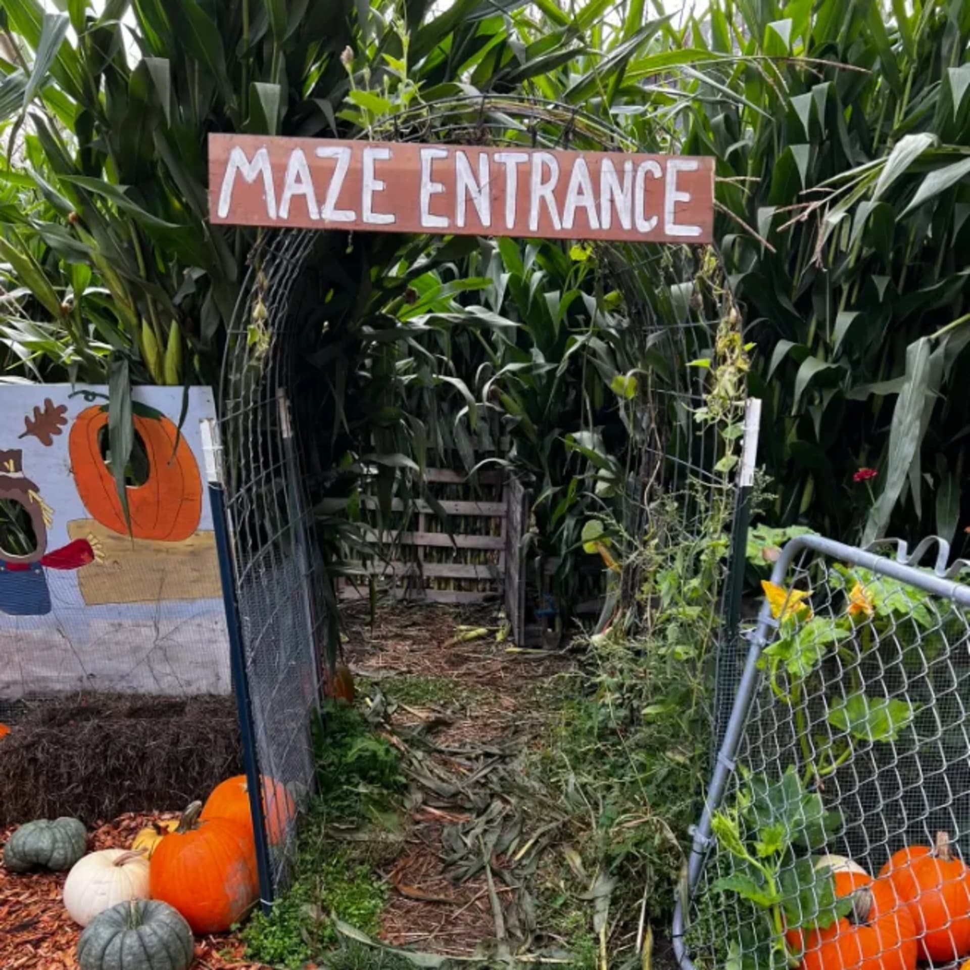 Fall on the Farm - 10/3 thru 10/31 Saturdays photo 1
