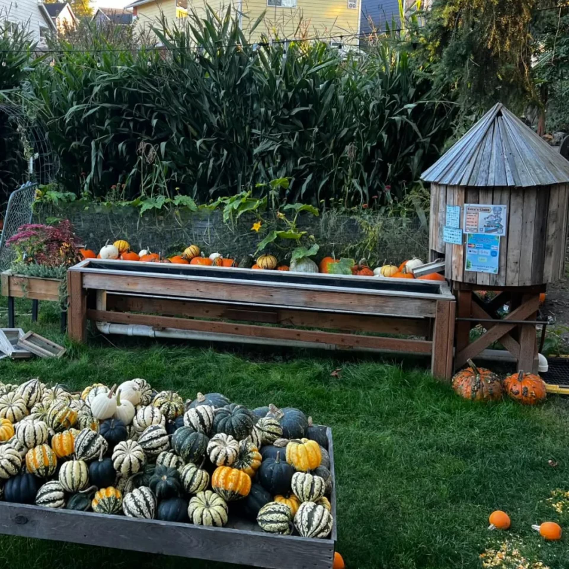 Fall on the Farm - 10/3 thru 10/31 Saturdays photo 2