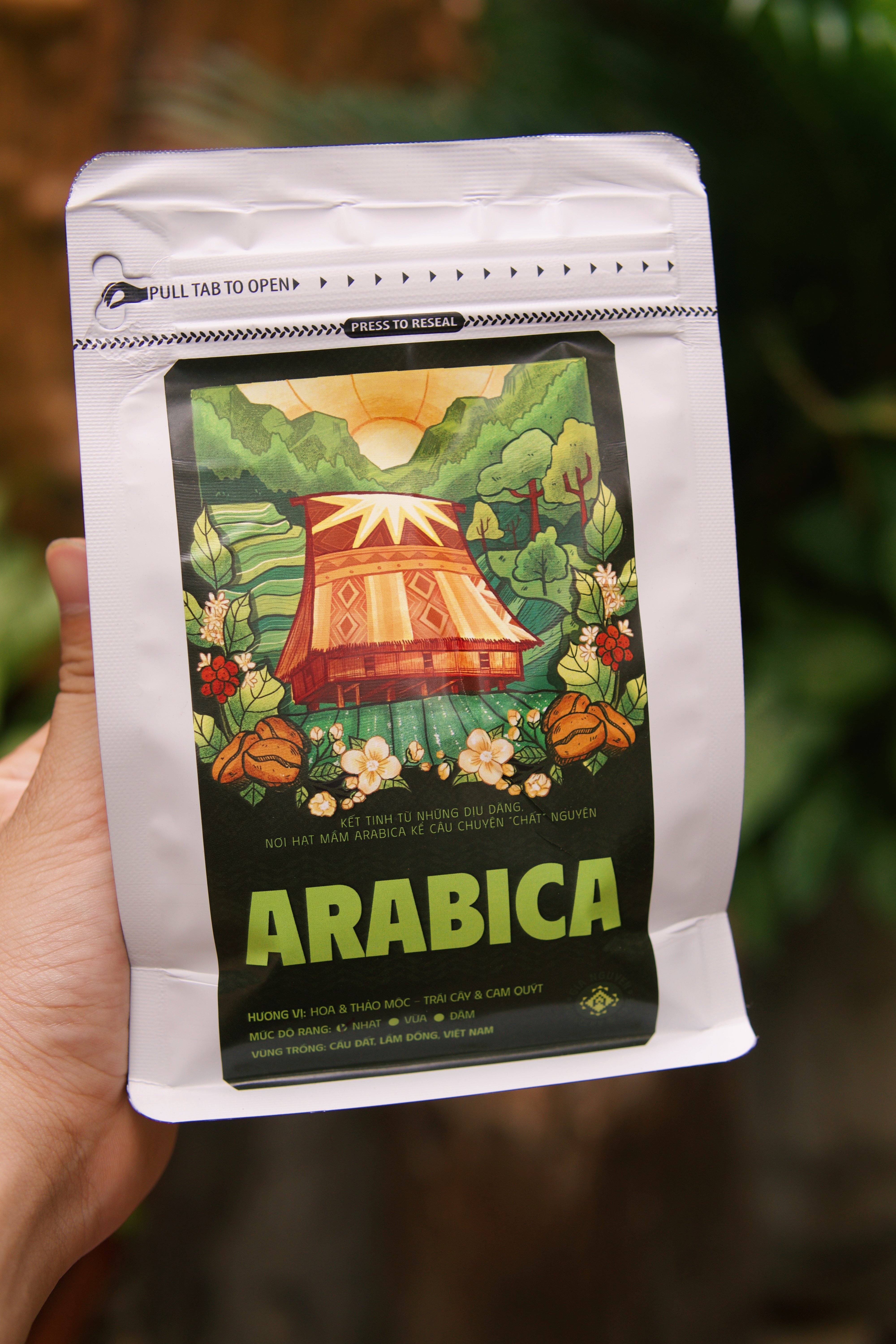 Arabica