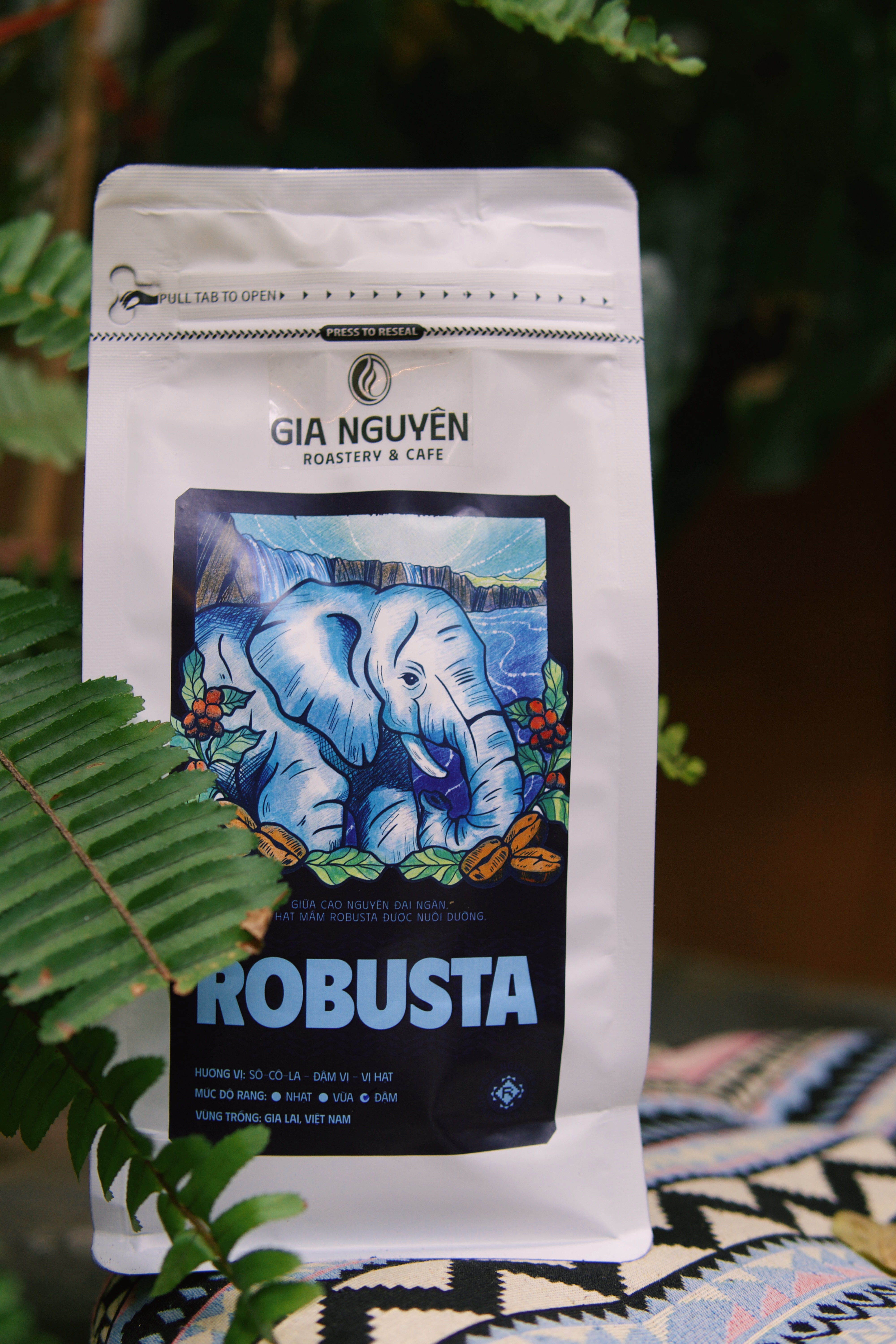 Robusta