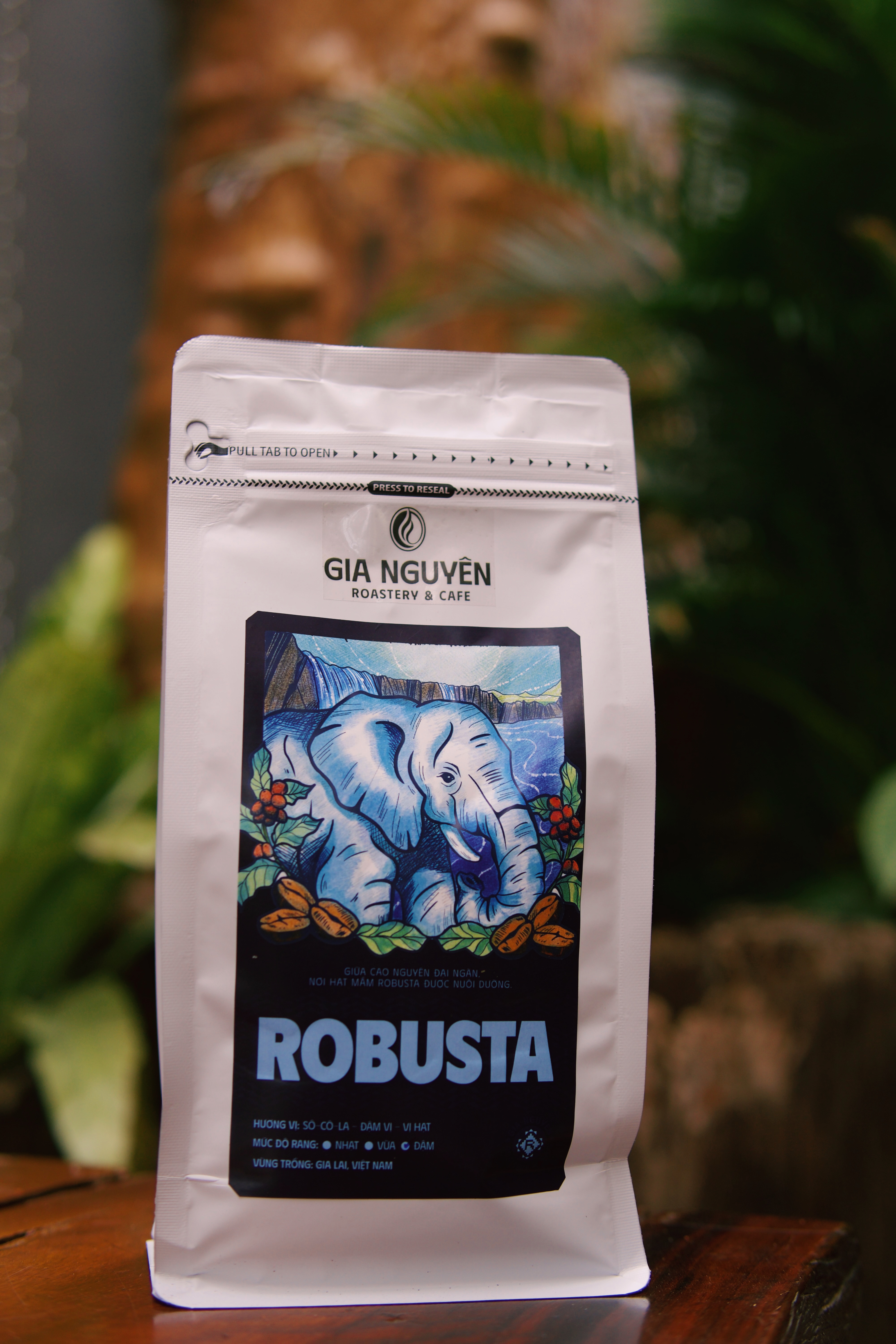 Robusta 2