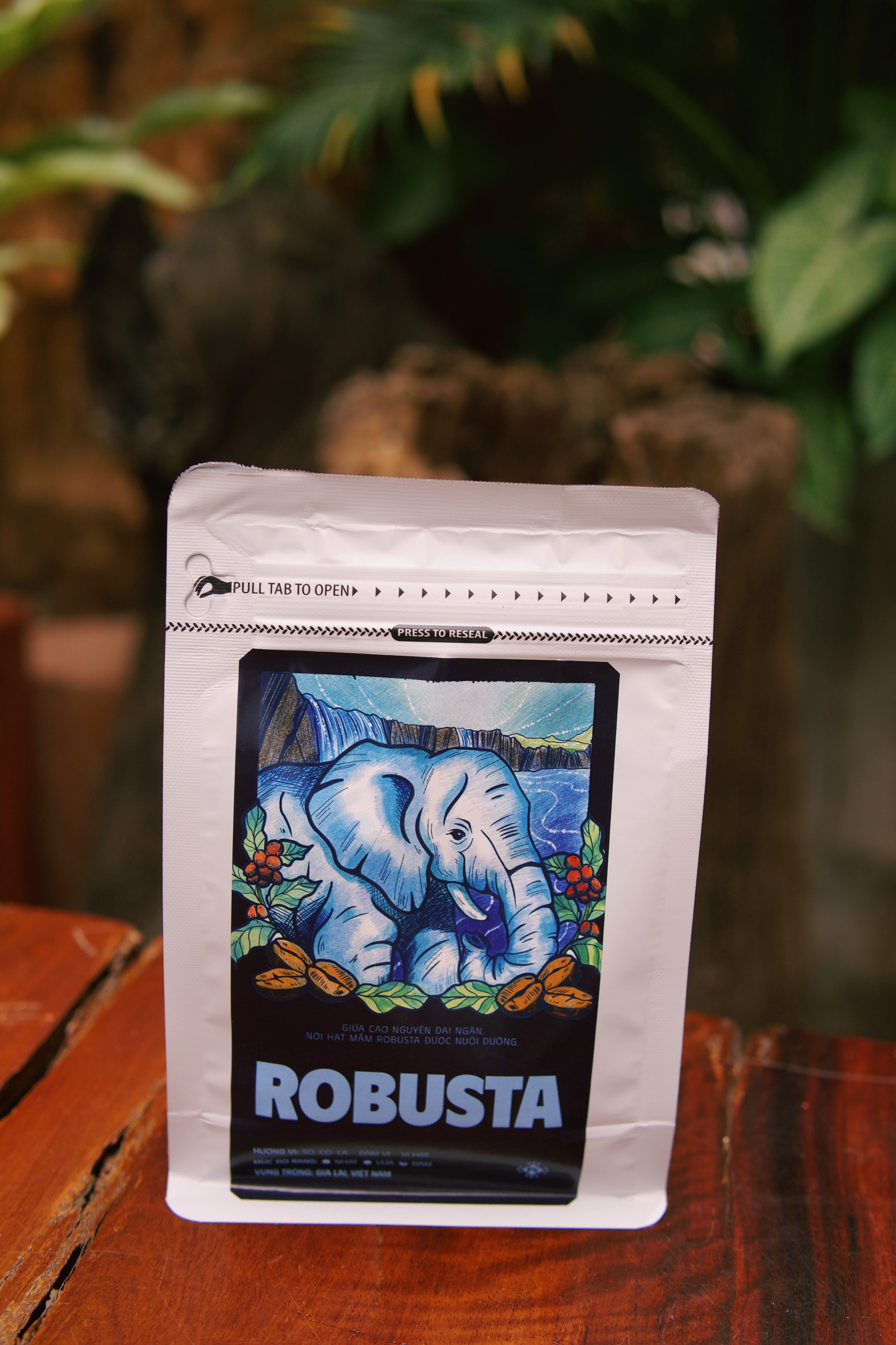 Robusta 3