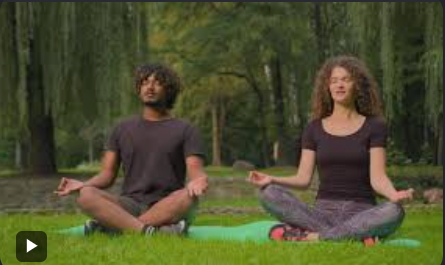 Mindful Yoga & Zen Morning