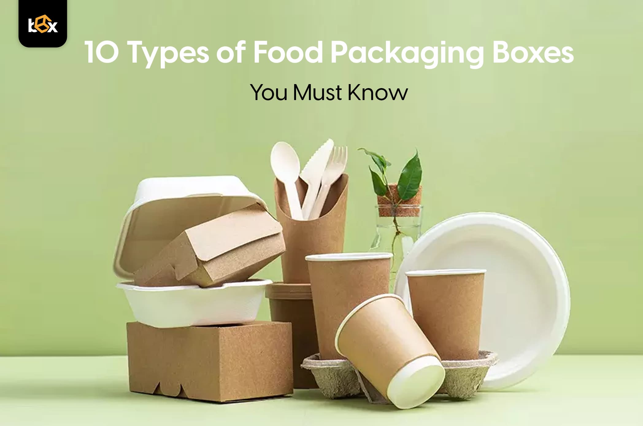 Box Food Classification 10 Types of Food Packaging Boxes You Must Know