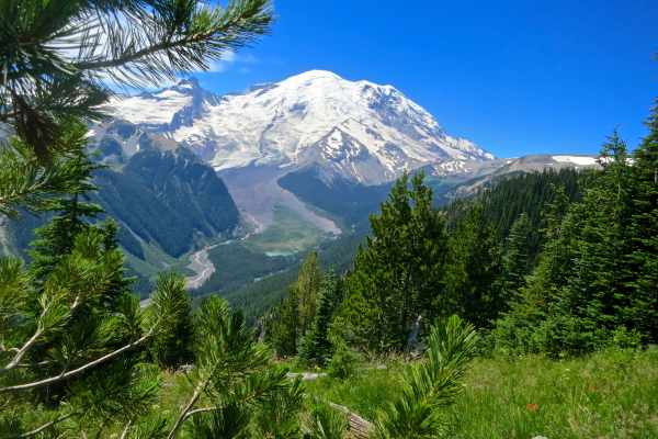 Photo of Mount Rainier