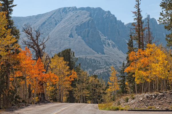 Photo of Great Basin