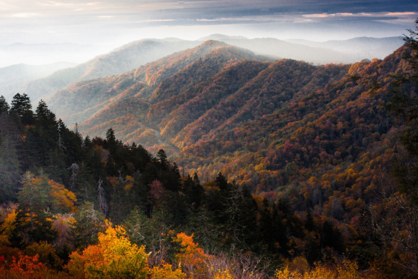 Photo of Great Smoky Mountains